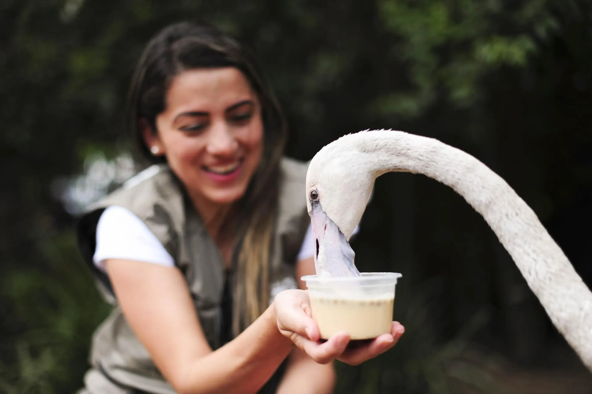 Parque das Aves Aviary