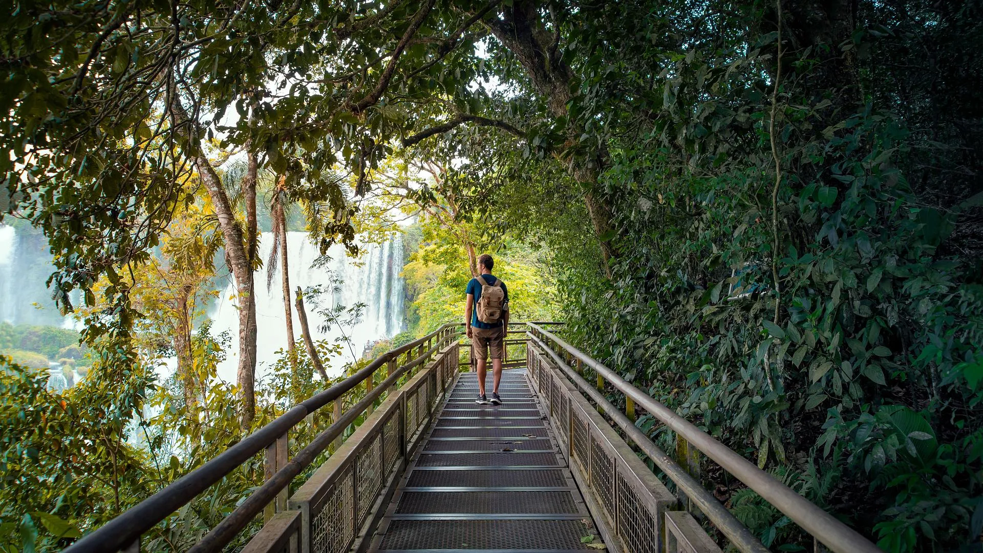 Wildlife and jungle path at Iguazu National Park