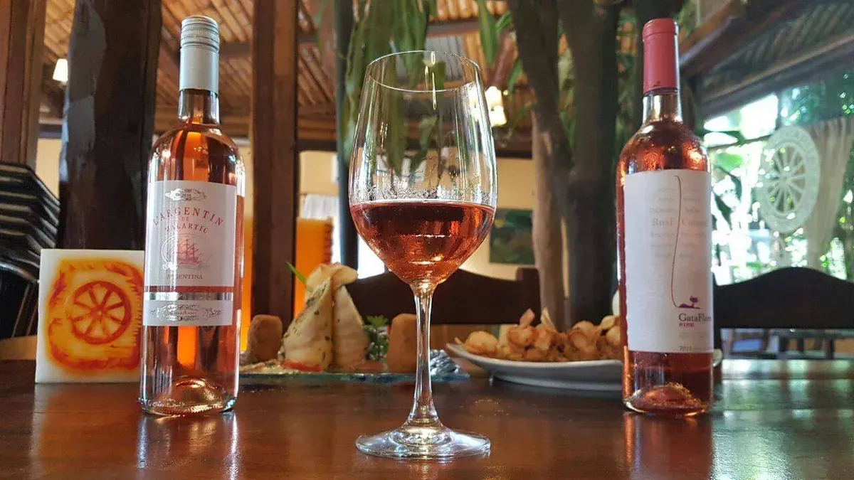 Selection of premium Argentine Malbec wines in a boutique